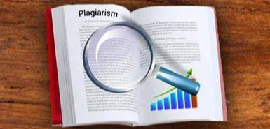 PLAGIARISM CHECK