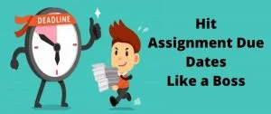 Beat-Assignment-Deadline