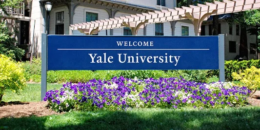 Yale university