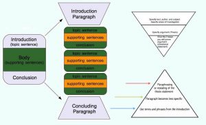 How to write term paper paragraphs