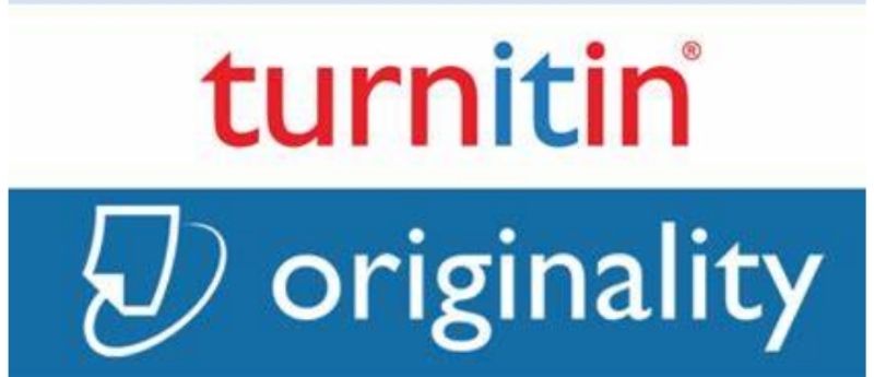 use turnitin