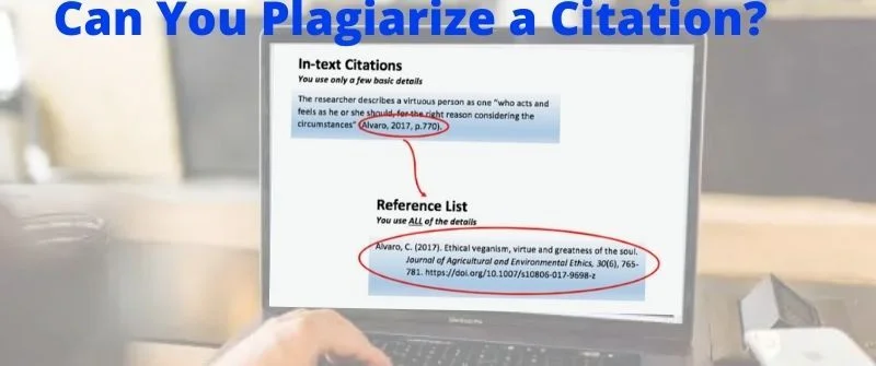 Can You Plagiarize a Citation
