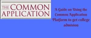 Using the Common Application Platform