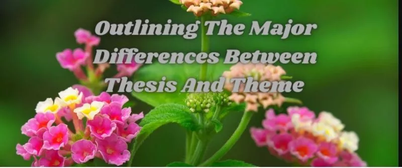 what are the differences between theme and thesis