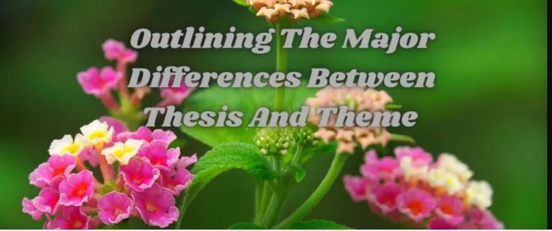 Differences Between Thesis And Theme