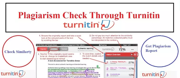 using turnitin