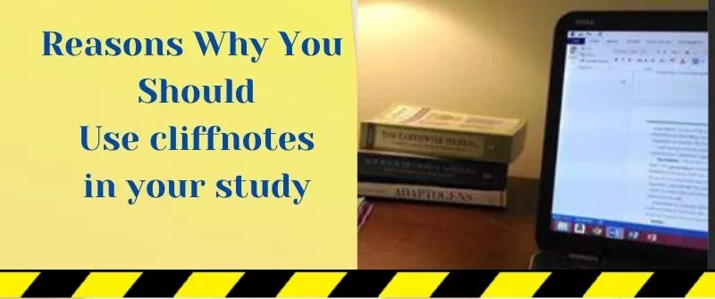 Why You Should Use cliffnotes in your study