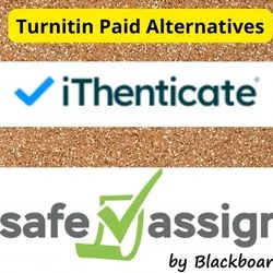 Turnitin Paid Alternatives