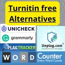 Turnitin free Alternatives