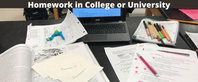 University or College Homework