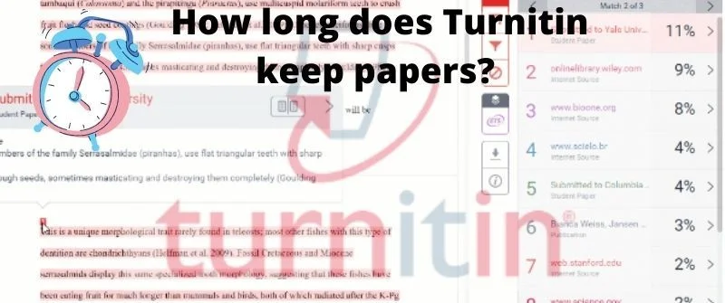 Time Turnitin keeps papers