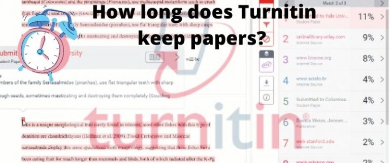 Does Turnitin Check Papers From Previous Years