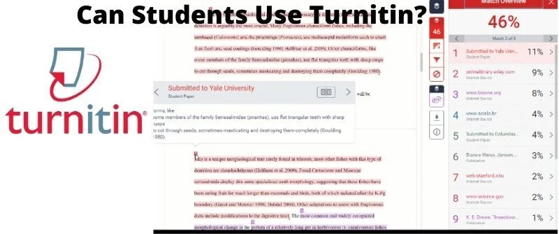 students using Turnitin