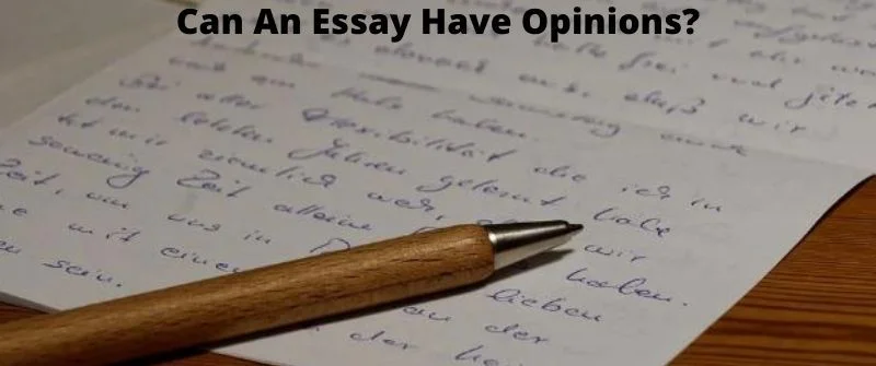 can an essay have opinions