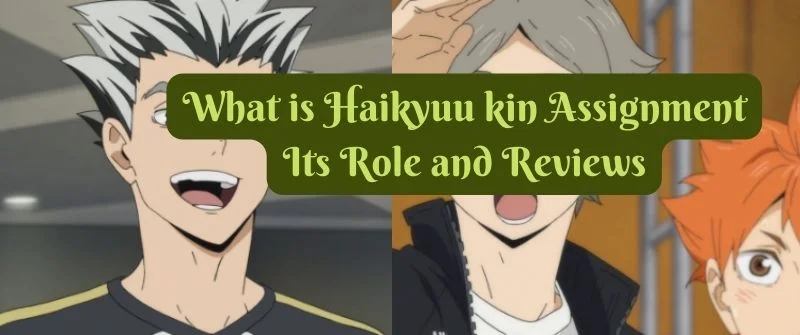 What is Haikyuu kin Assignment